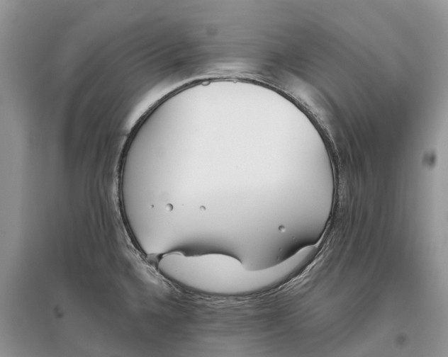 X0000097291336200803071724