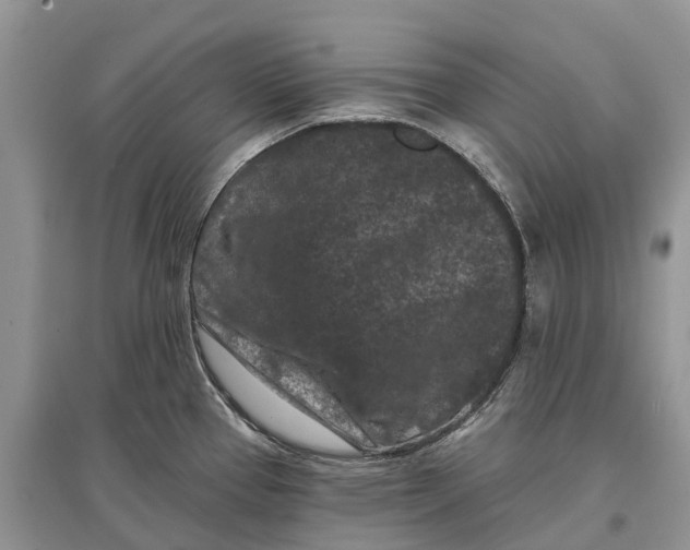 X0000097291337200803071724