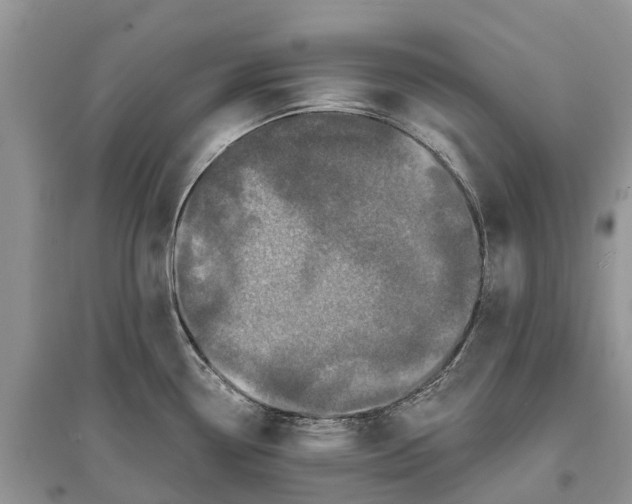 X0000097291338200803071724