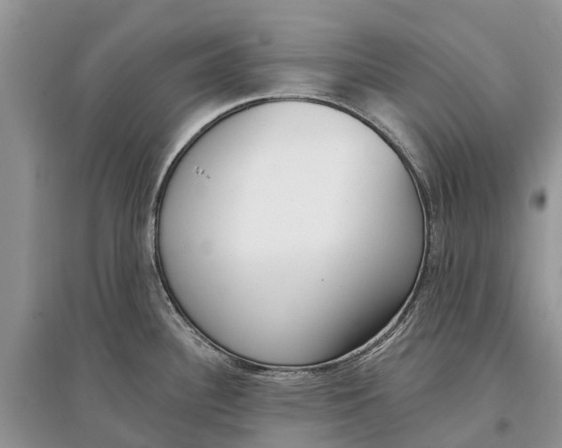 X0000097291340200803071724