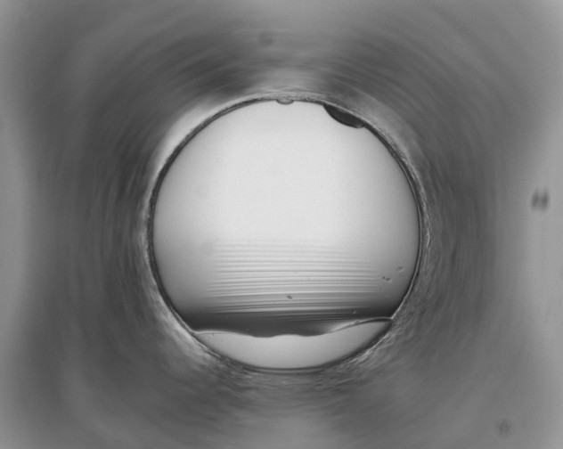 X0000097291344200803071724