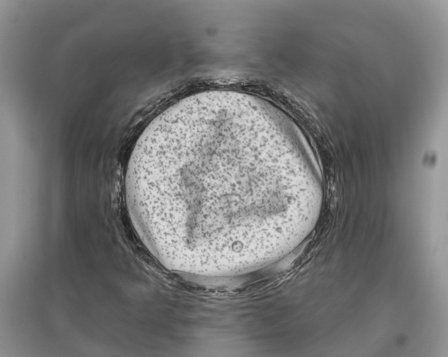 X0000097291349200803071723