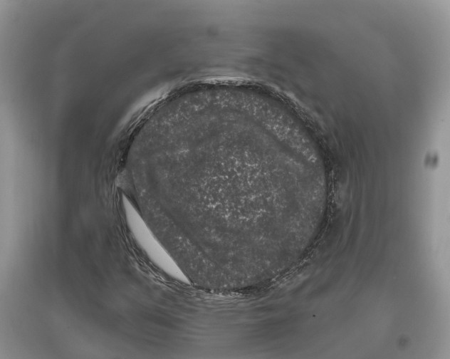 X0000097291351200803071723