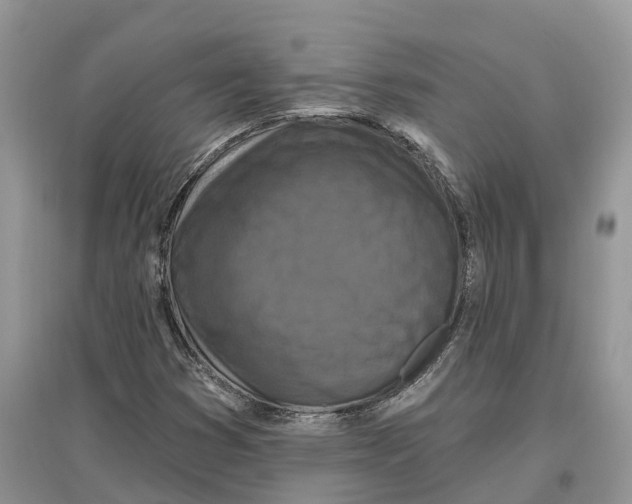 X0000097291353200803071723