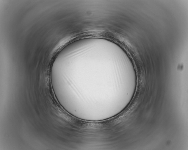 X0000097291354200803071723