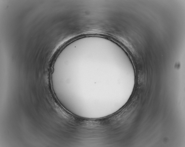 X0000097291356200803071723