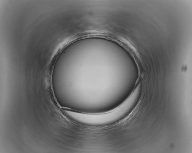 X0000097291357200803071723