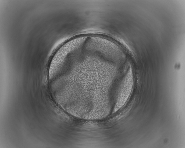 X0000097291358200803071723