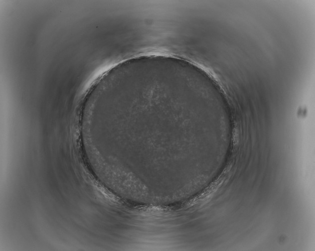 X0000097291359200803071723
