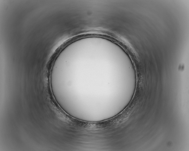 X0000097291360200803071723