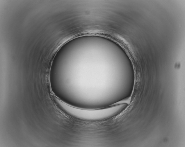X0000097291361200803071723