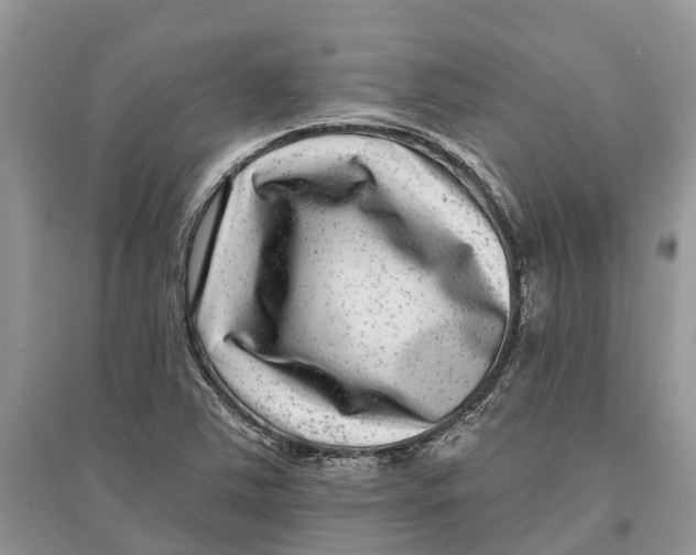 X0000097291363200803071723