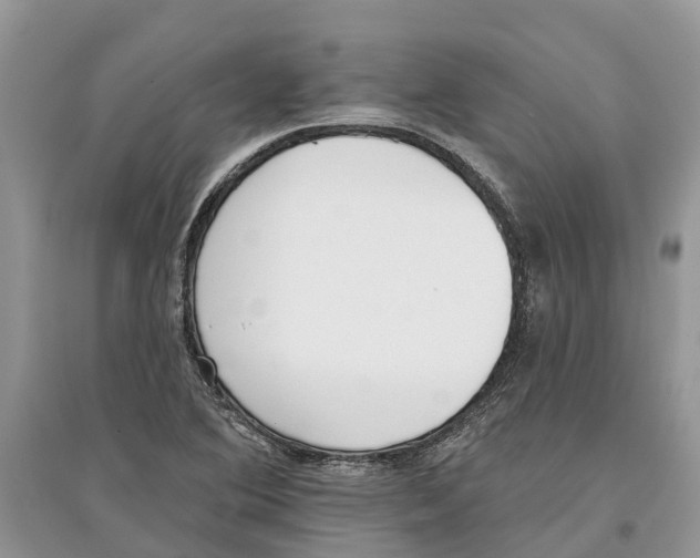 X0000097291364200803071723