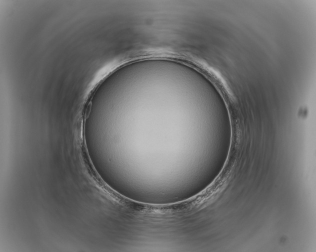 X0000097291365200803071723
