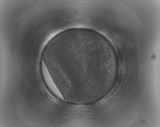 X0000097291367200803071723