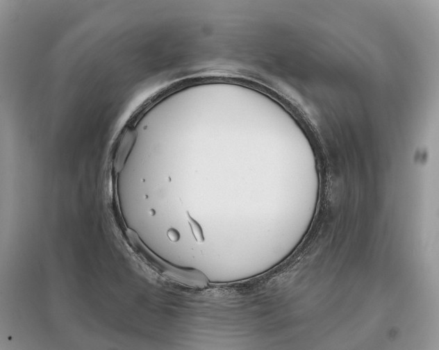 X0000097291368200803071723
