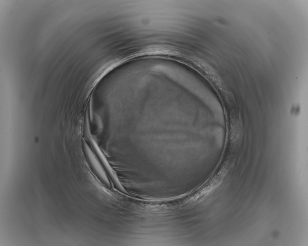 X0000097291369200803071723