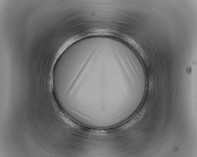 X0000097291370200803071723