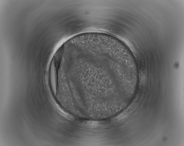 X0000097291371200803071723