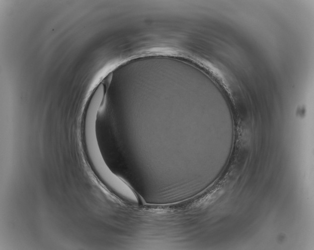 X0000097291373200803071723