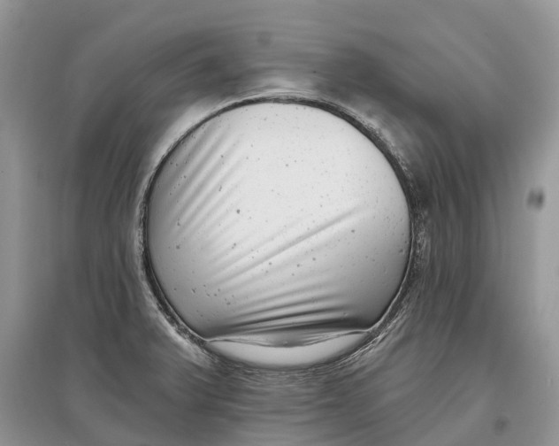 X0000097291375200803071723