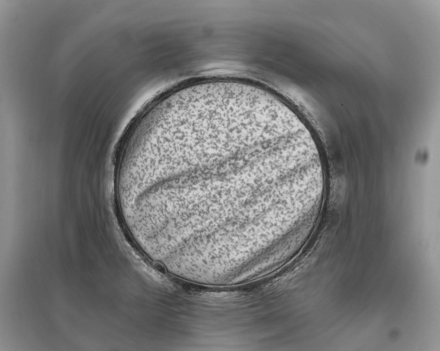 X0000097291376200803071723