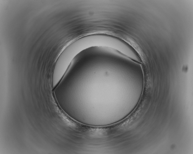 X0000097291377200803071723