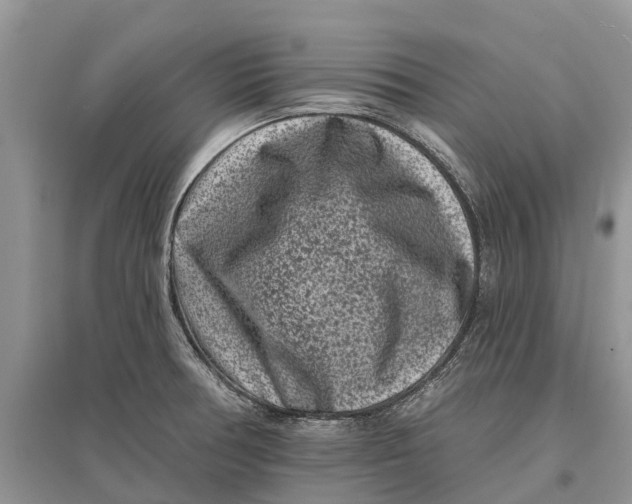 X0000097291378200803071723