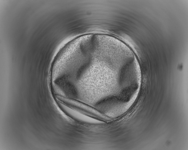 X0000097291379200803071723