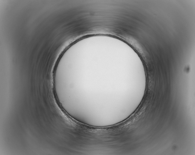 X0000097291380200803071723
