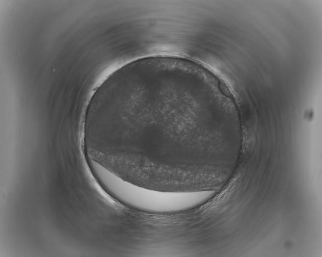 X0000097291383200803071723