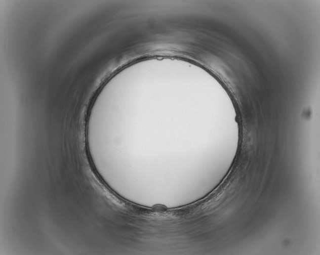 X0000097291384200803071723