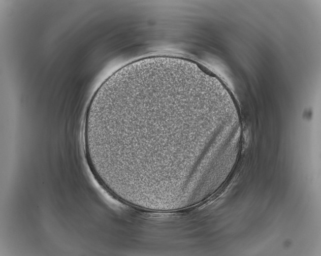 X0000097291391200803071723