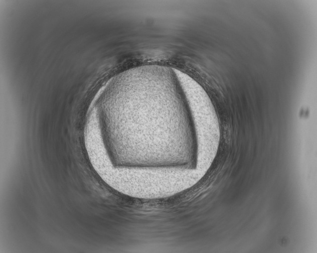 X0000097291393200803071722