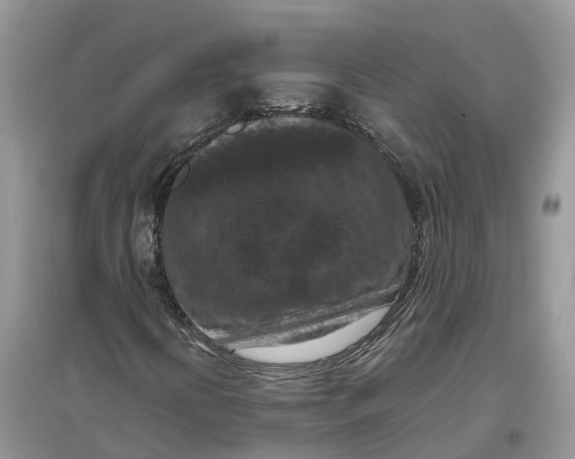 X0000097291394200803071722