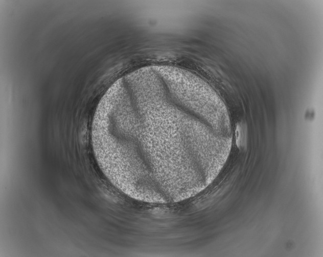 X0000097291395200803071722