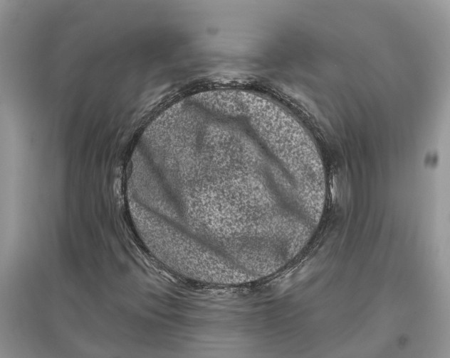 X0000097291396200803071722