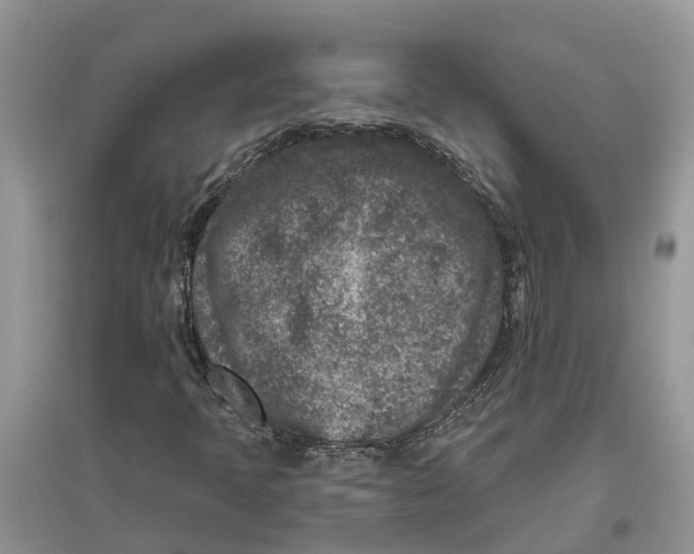 X0000097291397200803071722