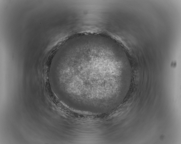 X0000097291399200803071722