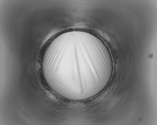 X0000097291400200803071722