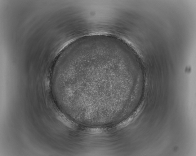 X0000097291401200803071722
