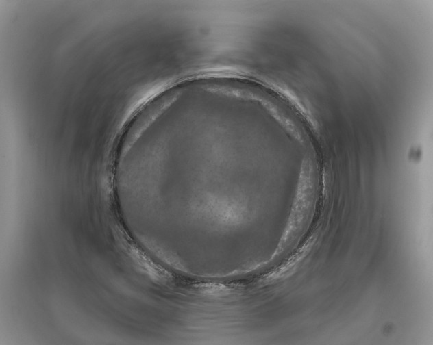 X0000097291405200803071722