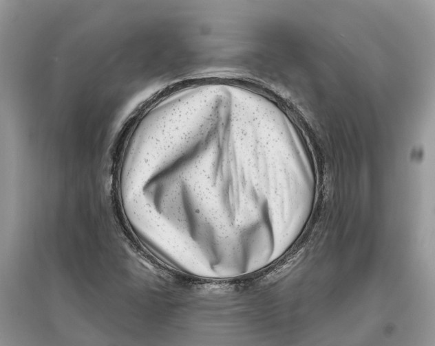 X0000097291406200803071722