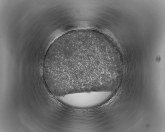 X0000097291409200803071722