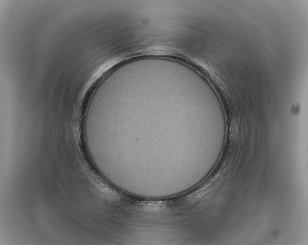 X0000097291410200803071722