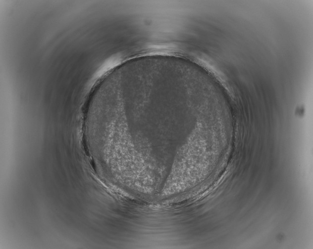 X0000097291411200803071722