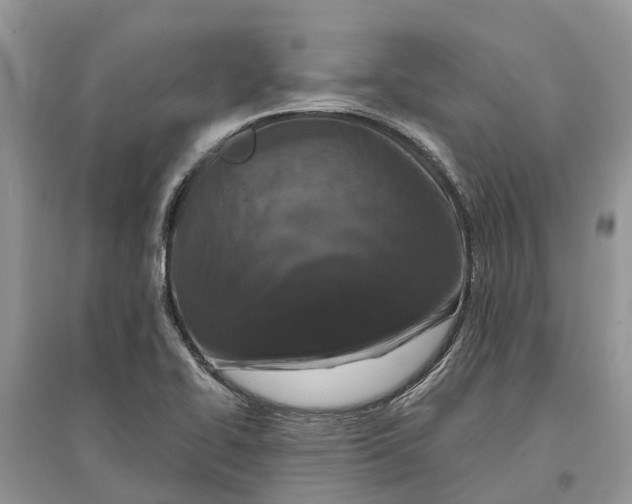 X0000097291414200803071722