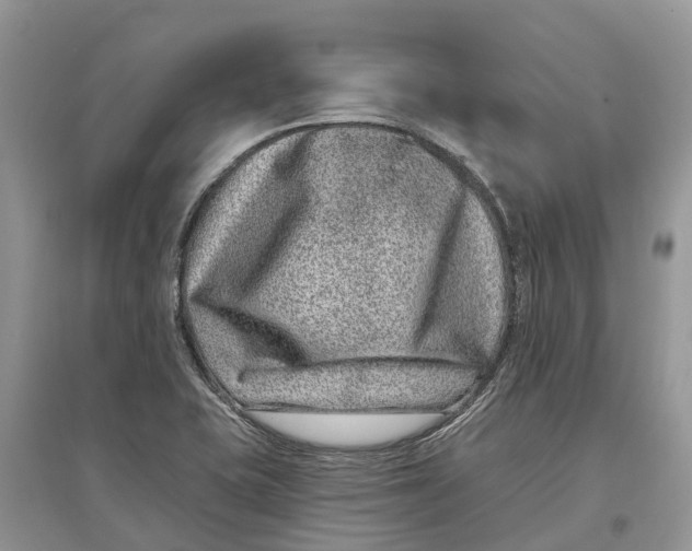 X0000097291415200803071722