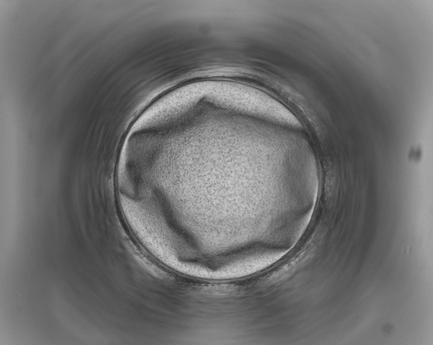 X0000097291417200803071722
