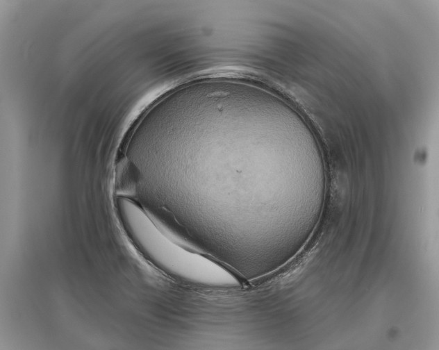 X0000097291418200803071722